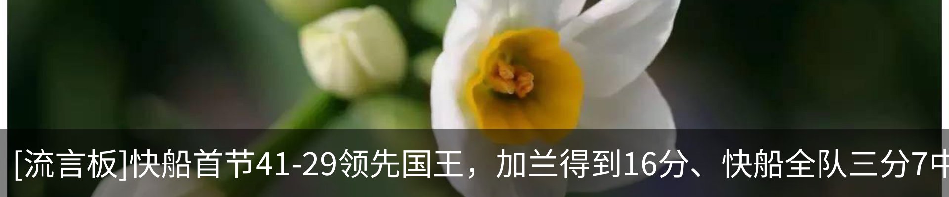 资讯动态